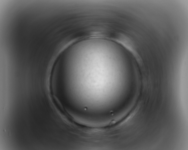 X0000088911333200706151859