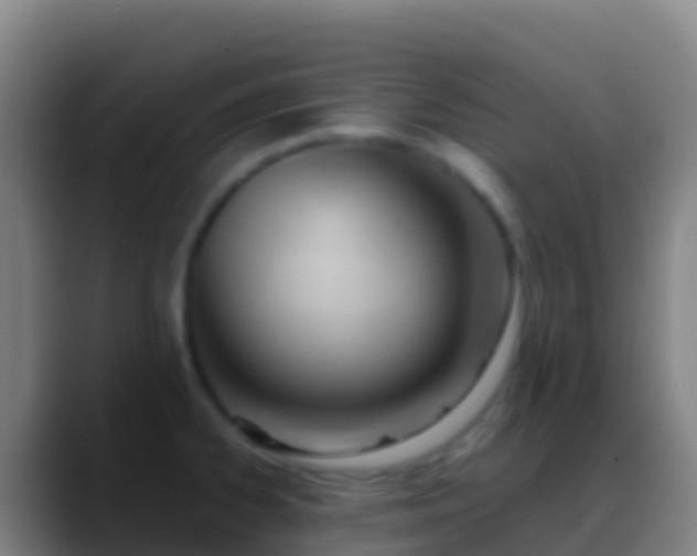X0000088911334200706151859