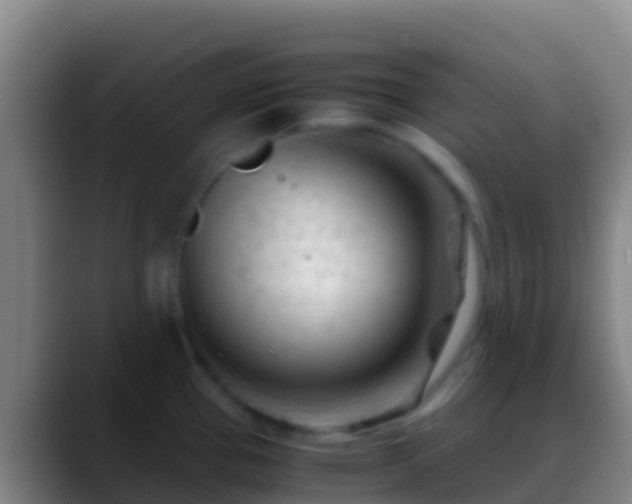 X0000088911337200706151859