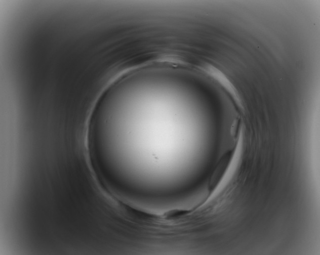 X0000088911339200706151859