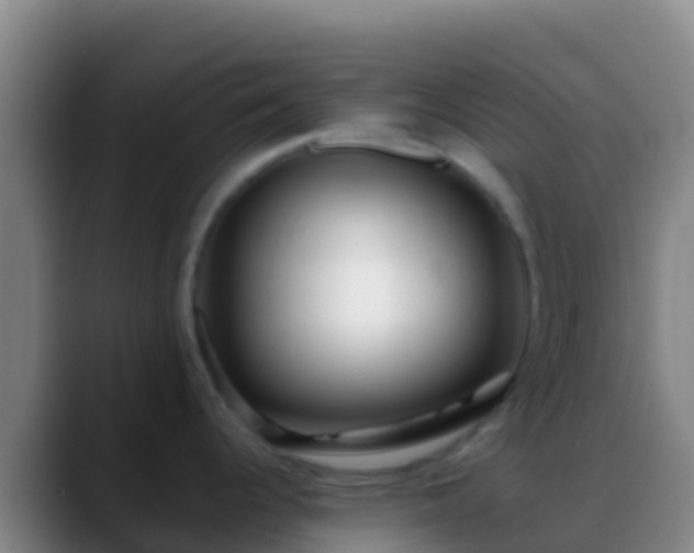 X0000088911344200706151859