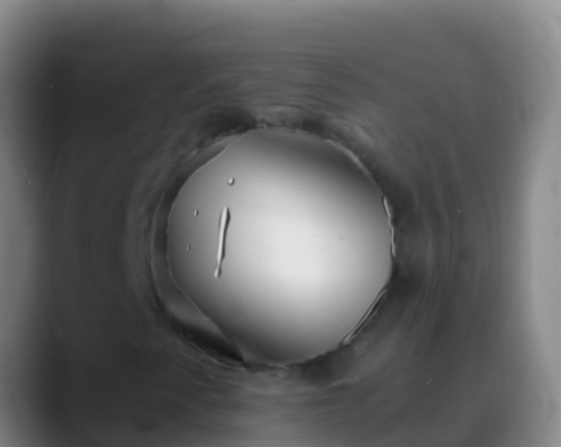 X0000088911345200706151858