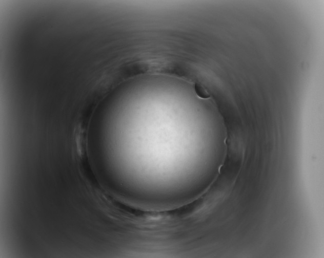 X0000088911346200706151858