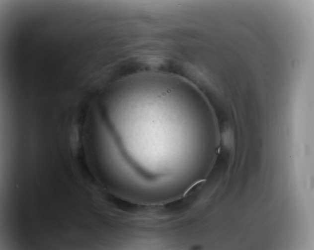 X0000088911347200706151858