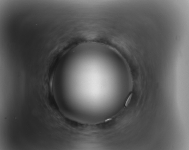 X0000088911349200706151858