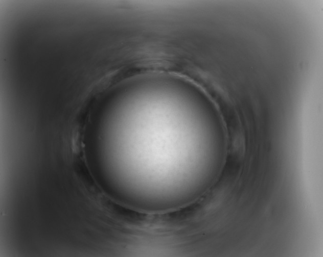 X0000088911350200706151858