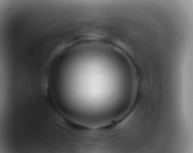 X0000088911355200706151858