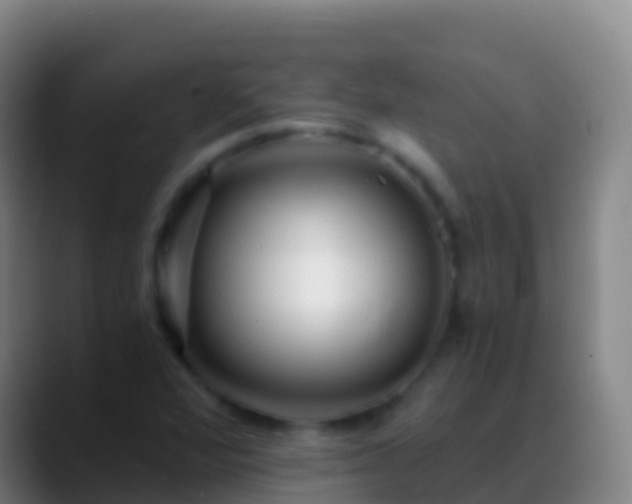 X0000088911360200706151858