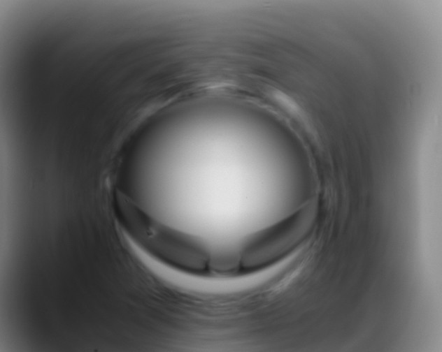 X0000088911361200706151858