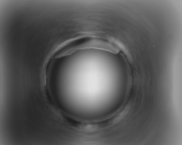 X0000088911365200706151858