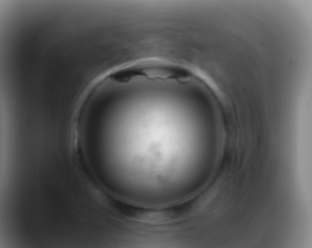 X0000088911367200706151858