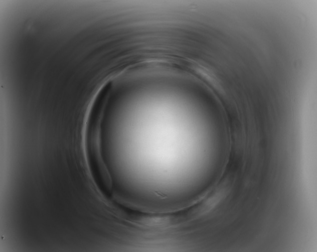 X0000088911369200706151858