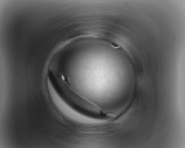 X0000088911371200706151858