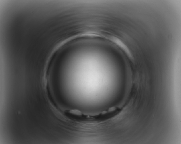 X0000088911372200706151858