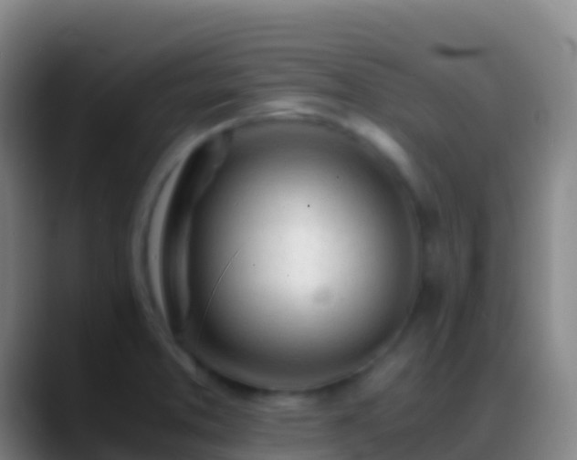 X0000088911373200706151858