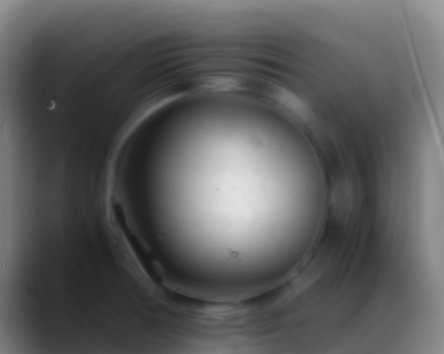 X0000088911378200706151858