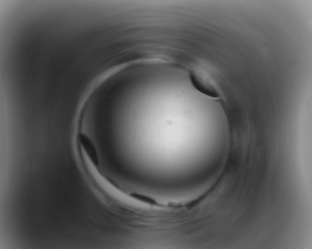 X0000088911379200706151858