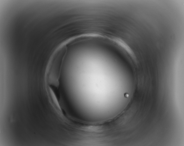 X0000088911380200706151858
