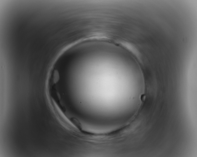 X0000088911383200706151858