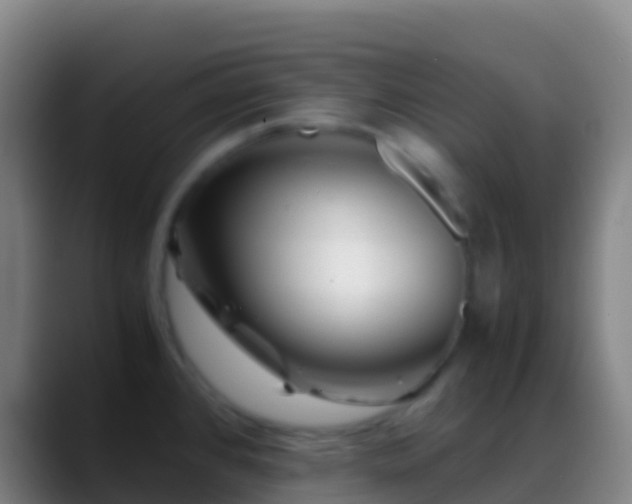 X0000088911384200706151858