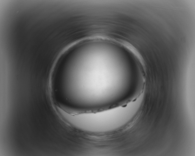 X0000088911388200706151858