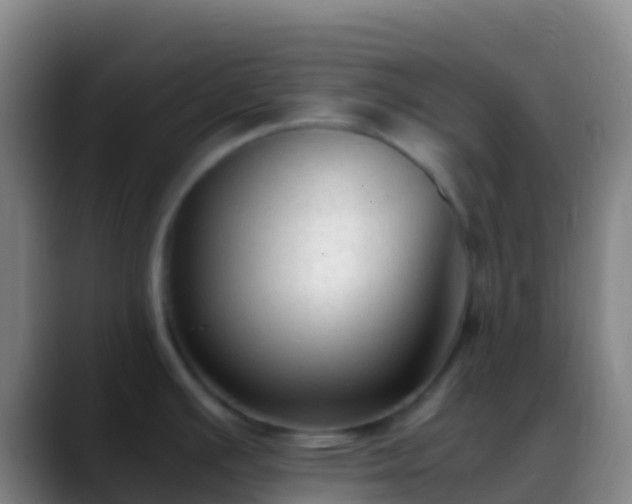 X0000088911391200706151858