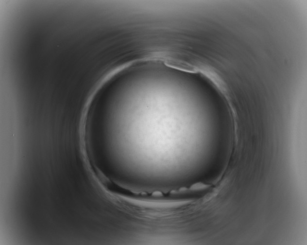 X0000088911392200706151858