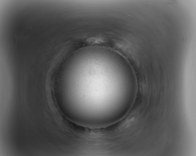 X0000088911393200706151857