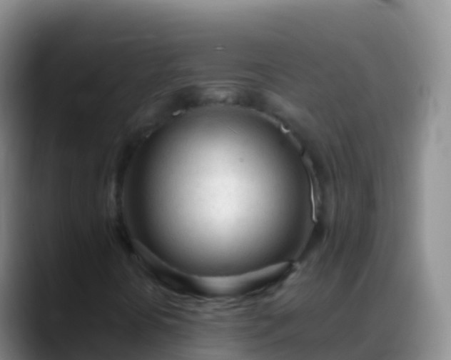 X0000088911394200706151857