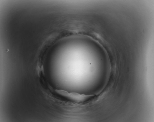 X0000088911398200706151857