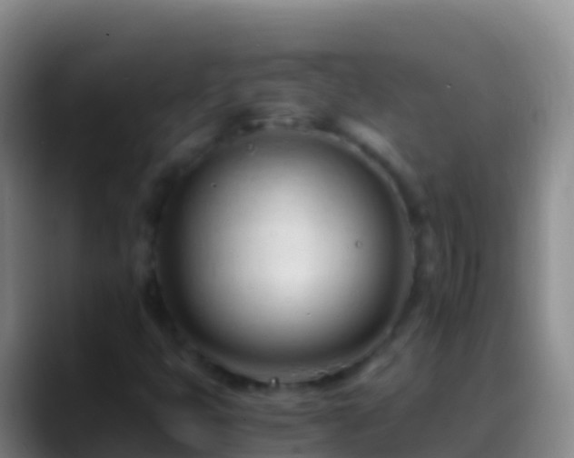 X0000088911399200706151857