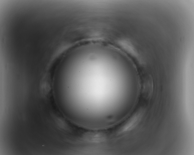 X0000088911400200706151857