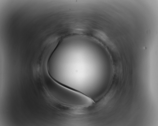 X0000088911402200706151857