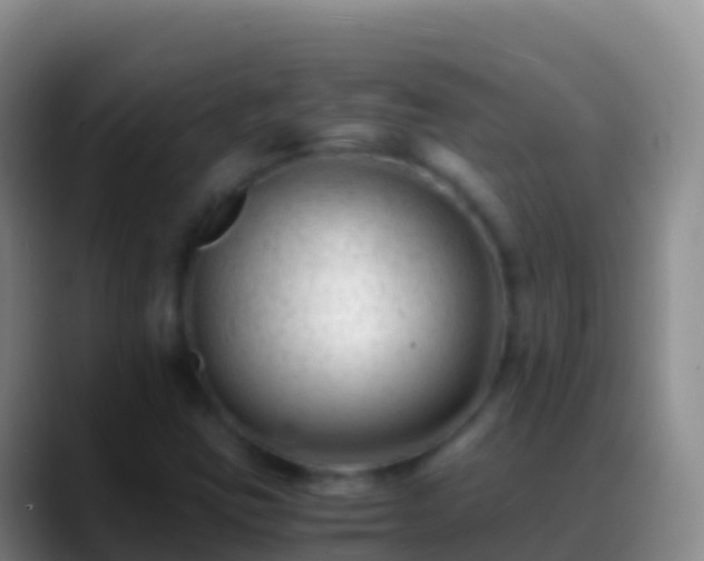 X0000088911403200706151857