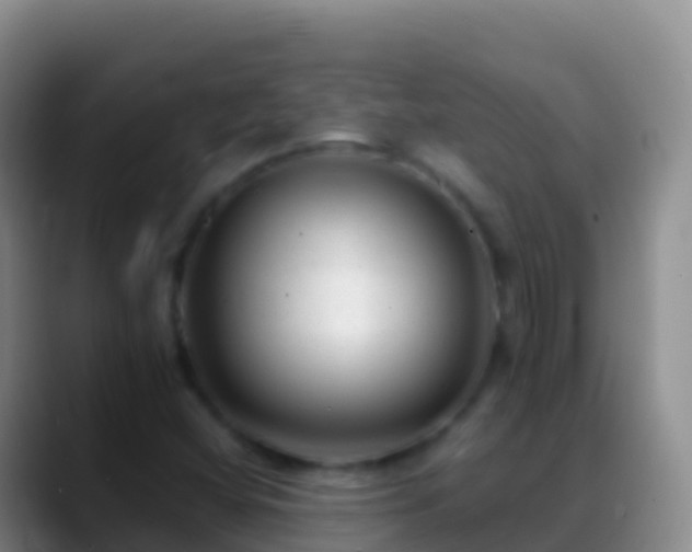X0000088911404200706151857