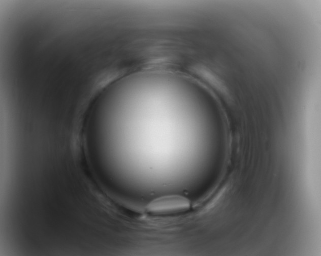 X0000088911405200706151857