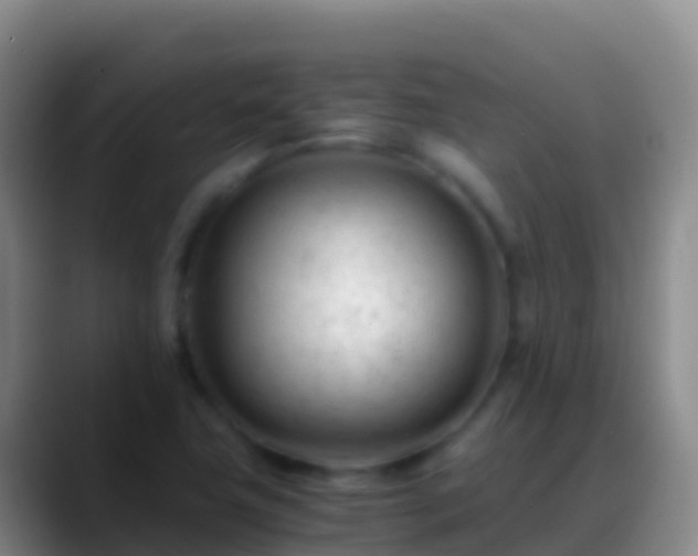 X0000088911411200706151857