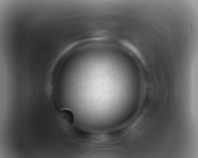X0000088911415200706151858