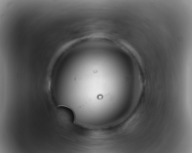 X0000088911416200706151858