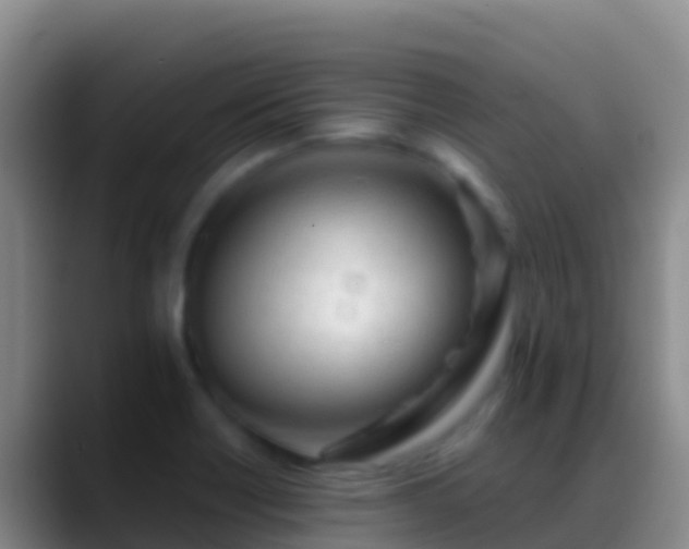 X0000088911418200706151858