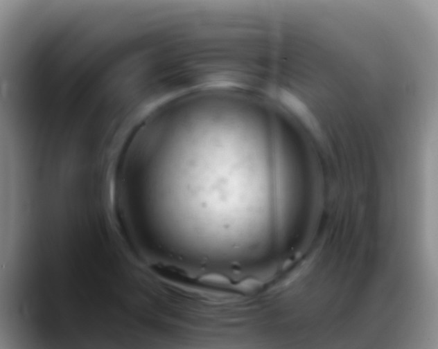 X0000088911419200706151858
