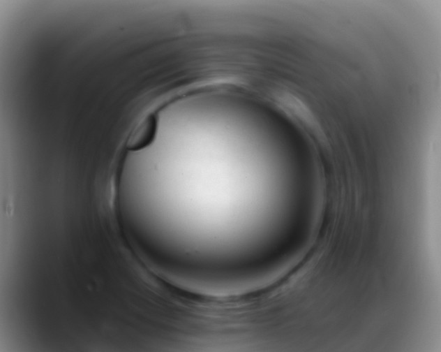 X0000088911420200706151858