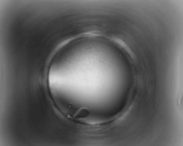 X0000088911421200706151858