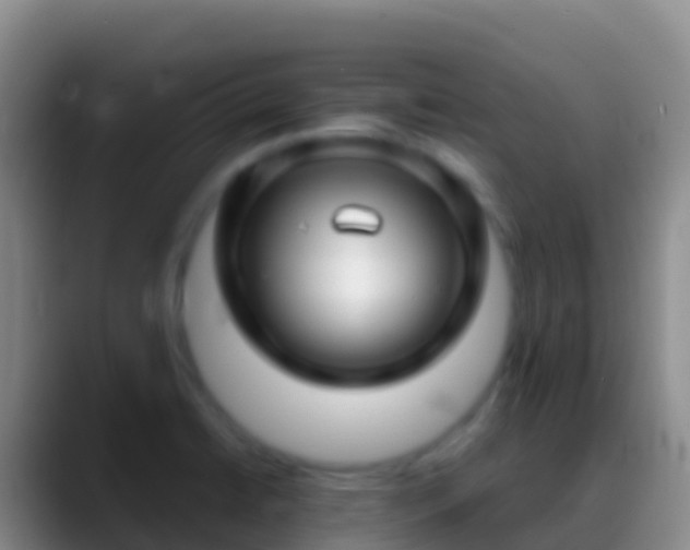 X0000088911422200706151858