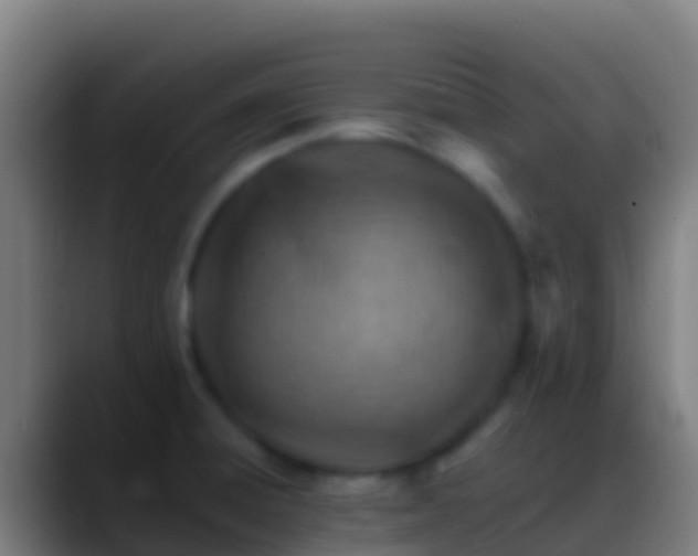 X0000088911428200706151858