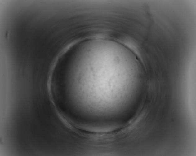 X0000088911429200706151858