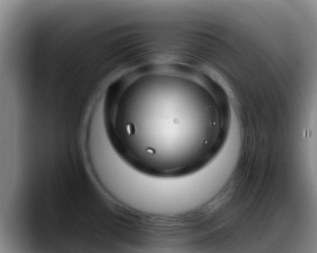 X0000088911434200706151858