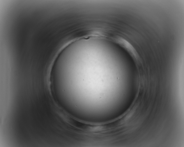 X0000088911435200706151858
