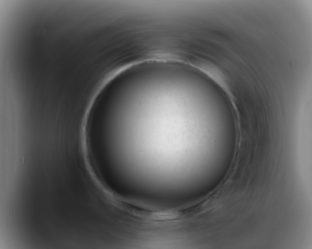 X0000088911440200706151858