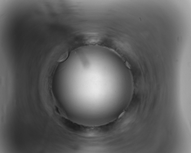 X0000088911441200706151857